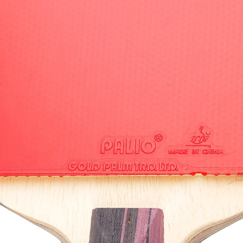 Original PALIO 3 Stars Carbon  - Table Tennis Kit Bag recension och pris