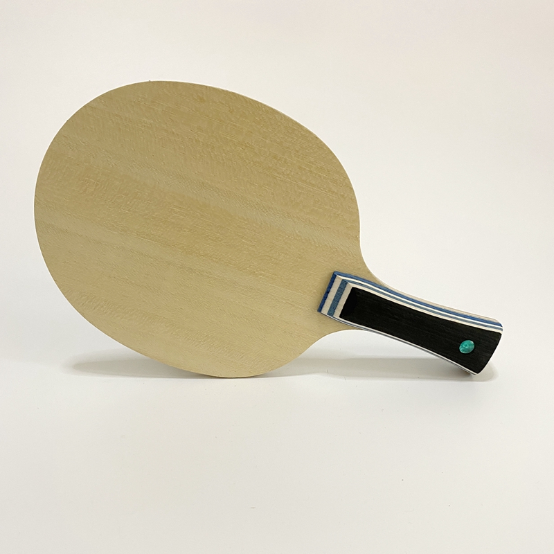 Lemuria VIS Carbon Fiber Table - Table Tennis Viscaria recension och pris