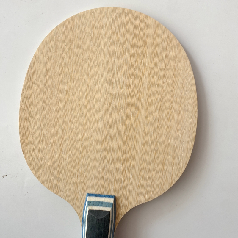Lemuria VIS Carbon Fiber Table - Table Tennis Viscaria recension och pris