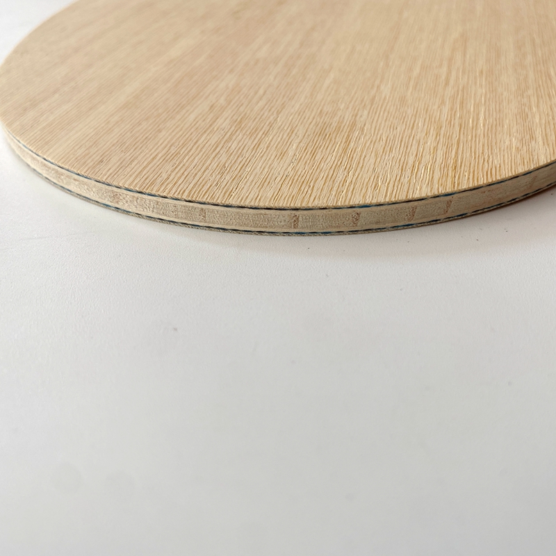 Lemuria VIS Carbon Fiber Table - Table Tennis Viscaria recension och pris