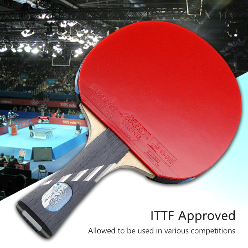 Yinhe 10-star Ping Pong Racket - Table Tennis Viscaria recension och pris
